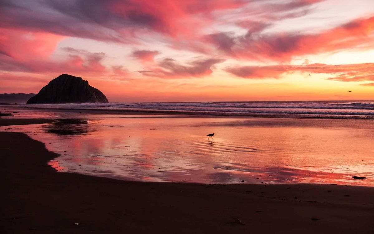 Comfortabele hotelkamer met modern interieur
