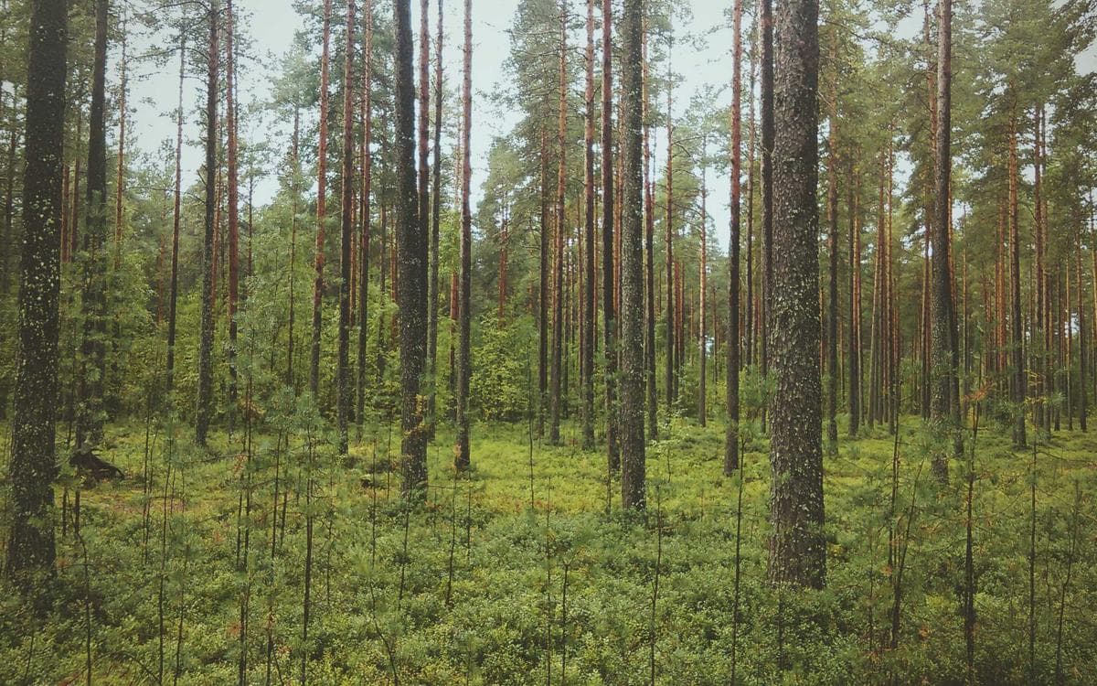 Ontbijt en gastvrijheid bij Eextase Hotel